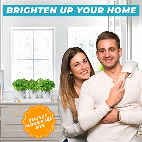 Saratoga Home Small Plant Pots With Drainage Holes Use As Herb Garden Planters, Shallow Planter, Succulent Or Flower Pots, Outdoor Indoor Planter Pots With Drainage & Tray, 3 Set Of 4 Inch Pots #TOP4