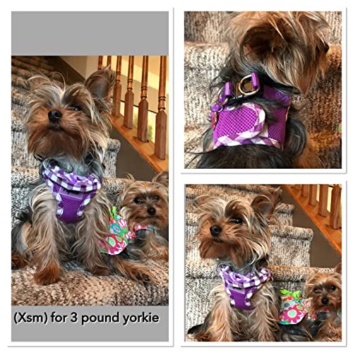Pupteck Small Dog Harness No Pull Step-In Soft Mesh Puppy Padded Pet Vest Harnesses For Girl Cats Small Dogs #TOP4