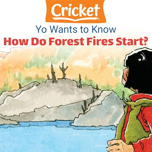 Yo Wants to Know: How Do Forest Fires Start? by Lea Daniel episode artwork