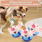 BABORUI Interactive Dog Toys Pig, Jumping Squeaky Dog Toys with Recording and Music Modes, Rechargeable Moving Dog Chew Toys for Small/Medium/Large Dogs to Keep Them Busy(Blue Pig) - Image 2