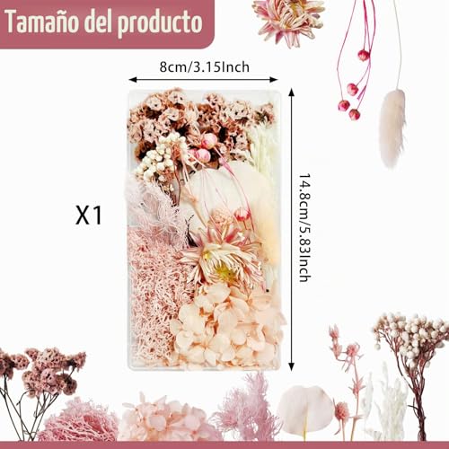 Miniatura 6 de Flores Secas Manualidades Flores Preservadas Naturales Flores Secas Decorativas Flores Prensadas Secas Naturales Para Marco De Foto Diy Decoración Artesanal Rosa