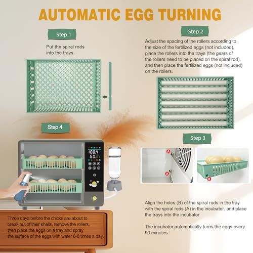 Hethya Incubators for Hatching Eggs, Egg Incubator with Automatic Egg Turning and Humidity Monitoring, Incubator for Chicken Eggs, 18-24 Eggs Incubator with Egg Candler for Duck Goose Quail Eggs - Thumbnail 2