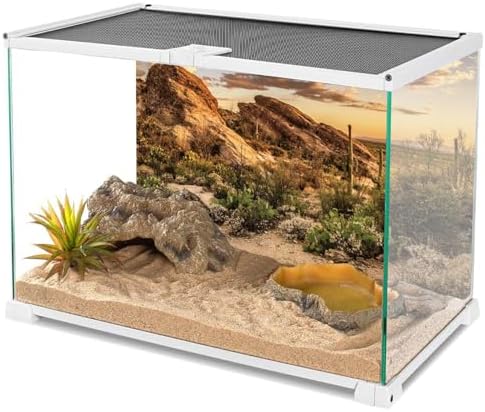 AWERT Reptile Habitat Background Blue Sky Oasis Cactus Sun and Desert Terrarium Background 24x16 inches Durable Polyester Background - 2