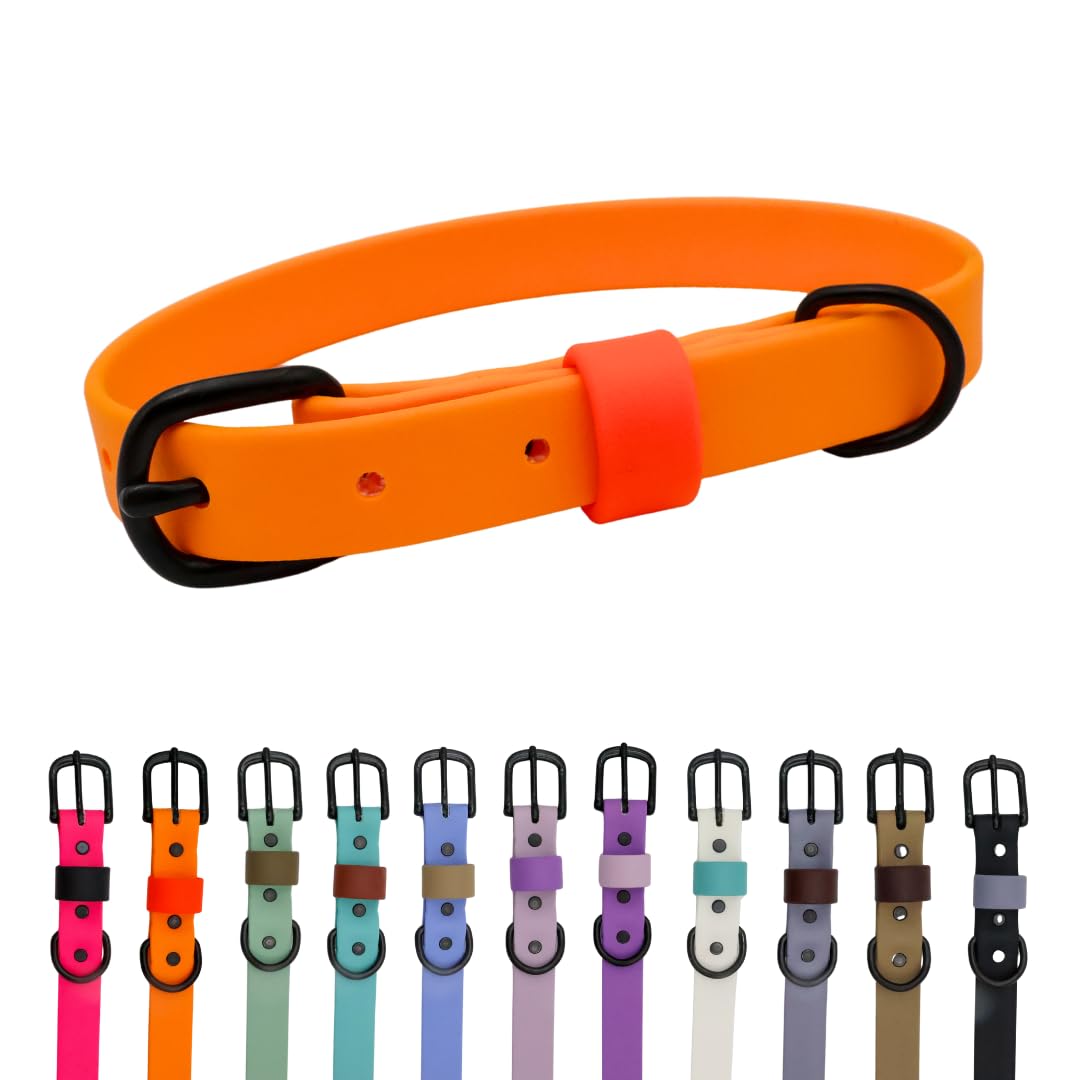Collier chien étanche et anti-odeur taille M facile à nettoyer en silicone