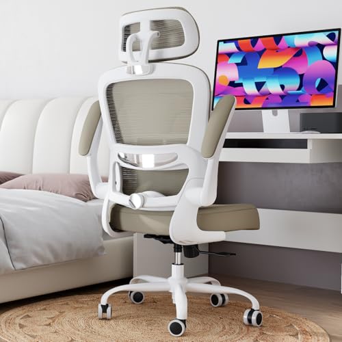 TRALT Office Chair Ergonomic Review