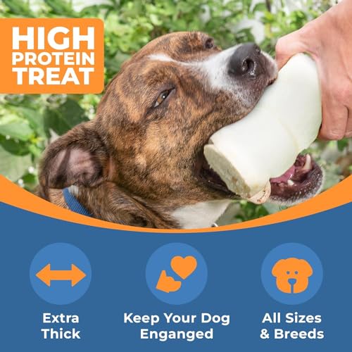 K9warehouse-Beef-Cheek-Rolls-for-Dogs-10-Inch-Pack-of-4-Thick-Buffalo-Beef-Cheek-Rolls-Large-Premium-Cow-Cheek-Roll-Dog-Treats-Rawhide-Free-Dog-Chews-Long-Lasting - Cucciolini Doodles   K9warehouse-Beef-Cheek-Rolls-for-Dogs-10-Inch-Pack-of-4-Thick-Buffalo-Beef-Cheek-Rolls-Large-Premium-Cow-Cheek-Roll-Dog-Treats-Rawhide-Free-Dog-Chews-Long-Lasting