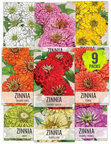 Seed Needs Zinnia Seeds for Planting California Giants Zinnias - Collection of 9 Individual Heirloom Seed Packets - Grow a Butterfly Garden to Attract Butterflies, Bees & Other Pollinators
