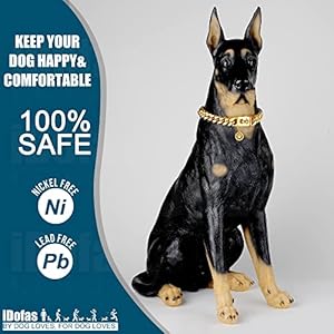 Dog chain collars cuban link dog collar design buckle with bell  dog tag stainless steel metal 10mm gold silver dog collar for puppy small medium large dogs 10   cucciolini doodles