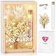 Aragallant Hochzeitsgeschenke für Brautpaare, Geldgeschenk Hochzeit, Mr und Mrs Geschenkbox inklusive Holzbox, Trockenblumen, Reagenzglas, Lichterketten, Hochzeitstag, Hochzeitsgeschenk Geld