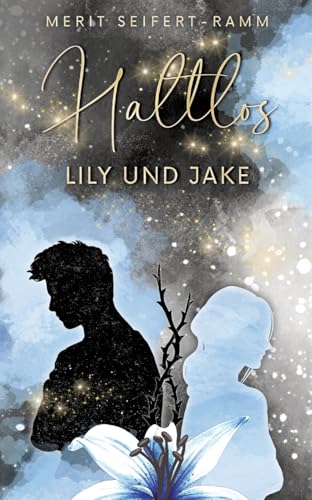 Haltlos - Lily und Jake: Young Adult Romance (-los-Trilogie)