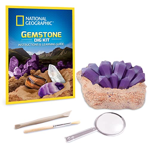 National Geographic Kit Fossiles - vue 10
