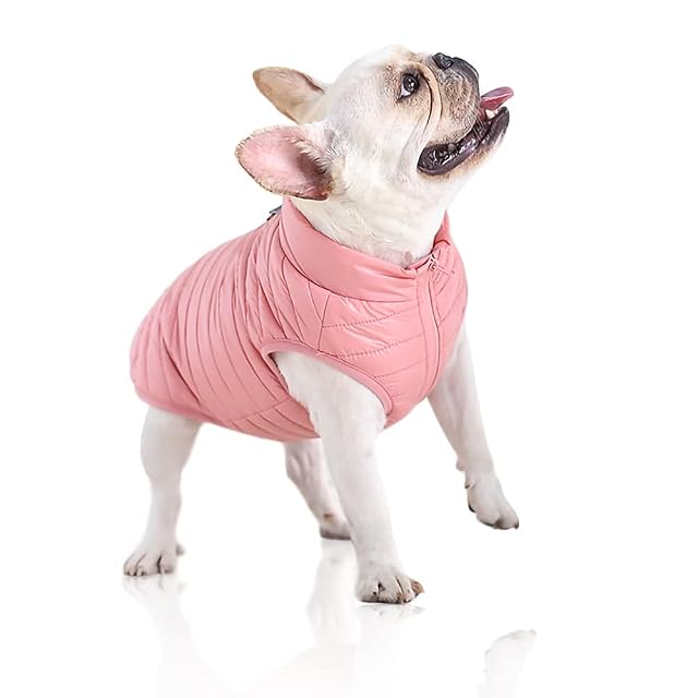 FUNZE Ropa cálida de Invierno para Perros, Chaqueta para Perros pequeños y medianos
