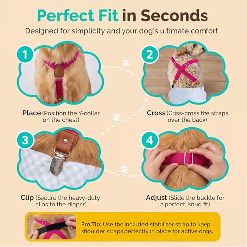 Image of 2 Pieces Dog Diaper Suspenders, for Dog Diaper Female and Belly Band for Male (X-Small /Small, Blue&Beige)