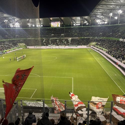 MT Redax 039: Armer W&ouml;lfi