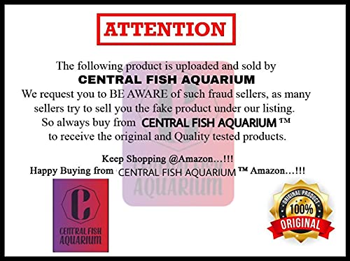 CENTRAL FISH AQUARIUM Metal 18" Bird Cage For Budgies,Finches,Love Birds,Cocktails,Conures,Cuttlefish Bone Holder,With Cuttlefish Bone, 2 Cups, 1 Perch Stick L : 18", B : 13", H:13" (Colors May Vary) 1
