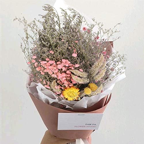 XHXSTORE Natural Dried Flowers Drid Craspedia Artificial Gypsophila Flower Bouquet Dried Flower Set Mixed Multiple Colorful Dried Flowers for Wedding Home Table Vase Office Floral Arrangement Decor