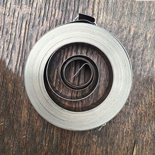 Lf&Lqew 1Pc High Precision Constant Force Flat Wire Torsion Retractable Coil Spiral Spring,0.25Mm*8Mm Width*5000Mm Length*45Mm Out Diameter (Size : 0.25Mm) #TOP17