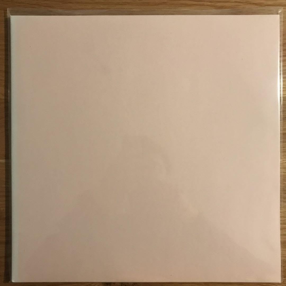 Amazon.co.jp: 青葉市子 – 0 アナログレコード LP : おもちゃ