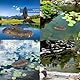 Sonhomay Schwimmender Alligatorkopf Float Alligator Fake Krokodilkopf Pool Zubehör für Teich Gator Dekoration für Garten Wasserschutz