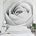 Produktbild Apalis Vliestapete Blumentapete Close Up Rose Fototapete Quadrat | Vlies Tapete Wandtapete Wandbild Foto 3D Fototapete für Schlafzimmer Wohnzimmer Küche | Größe: 240x240 cm, grau, 95279
