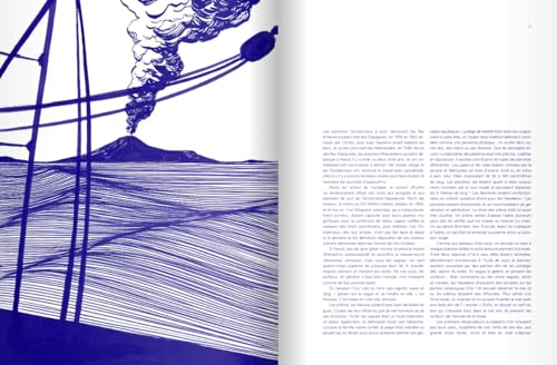 Surf – vue 4