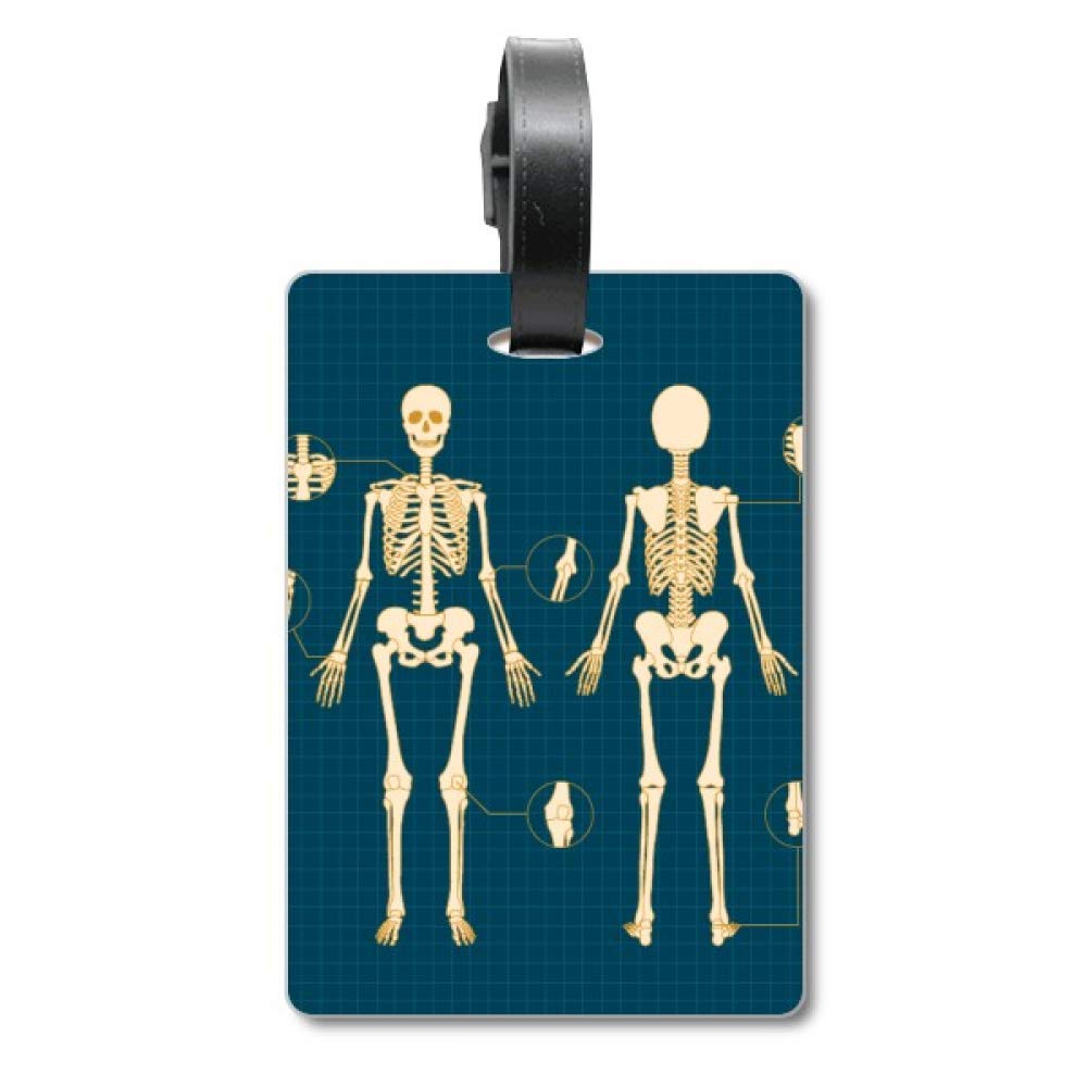 Squelette carte de bagage à suspendre pour identifier facilement votre sac
