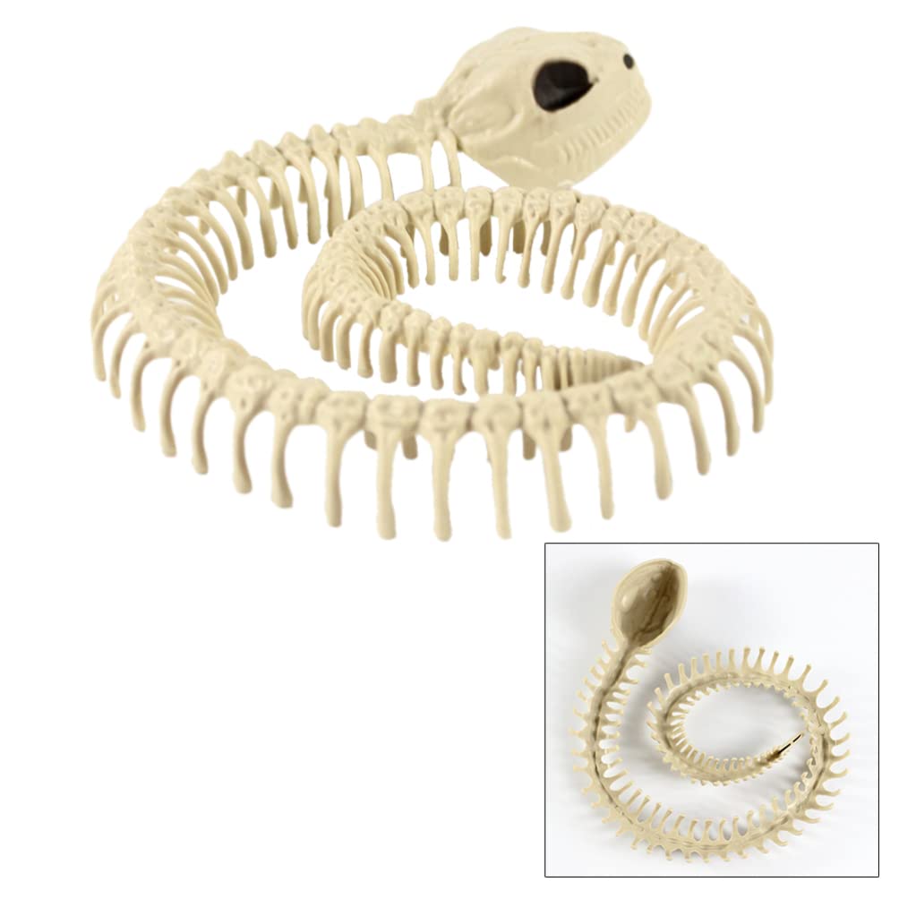 KESYOO Halloween Snake Skeleton Props Snake Skeleton Bones Snake Animal Skeleton Model Halloween Decoration Terror Scary Props