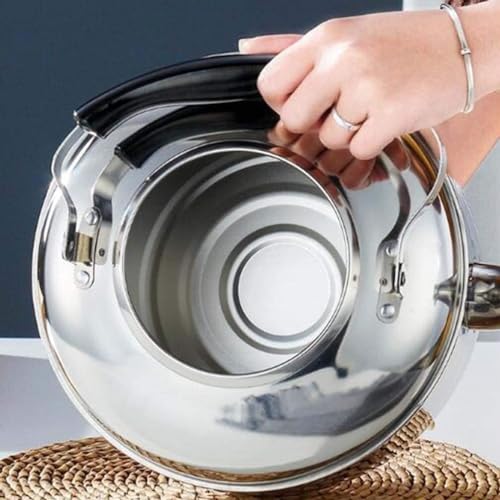 Tetera eléctrica HOBIBA 5L acero inoxidable plateada miniatura 5