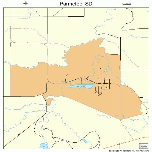 Large Street & Road Map of Parmelee, South Dakota SD Printed poster