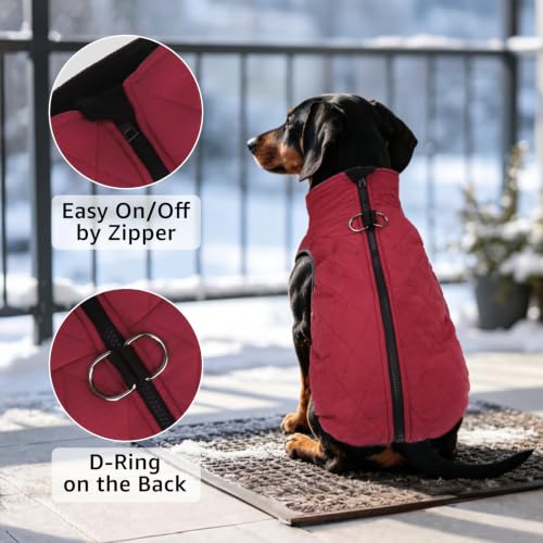 Image of SCENEREAL Dachshund Winter Dog Vest Coat with Harness Built in