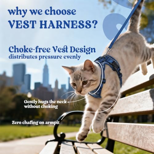 Image of rabbitgoo Cat Harness and Leash Set, Escape Proof Vest, Cosmic Ace