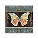 Butterflies 2 by Jean Plout, 35x35-Inch Canvas Wall Art