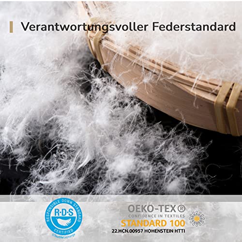 Homyrium Piumino Matrimoniale Invernale 200×220 cm – Piumone Caldo in Piuma e Piumino Naturale (2600 g) – Trapunta Morbida e Traspirante – Certificato OEKO-TEX e RDS, Grigio