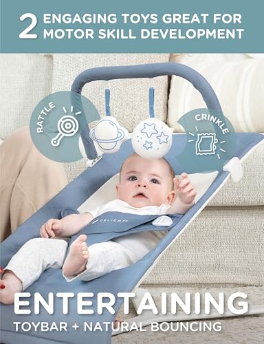 Image of Baby Delight Alpine Deluxe Portable Bouncer, Organic Dusty Blue | Infant 0-6 Months, 3-Position Recline, 3-Point Safety Harness, 100% GOTS Certified Cotton Fabric Removable & Washable Cover