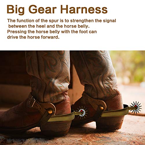 image for N/H 1 Pair 6.5in Zinc Alloy Horse Riding Spurs Equestrian Training Spu