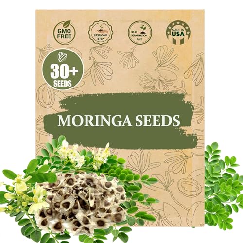 Wily Fox Moringa Seeds
