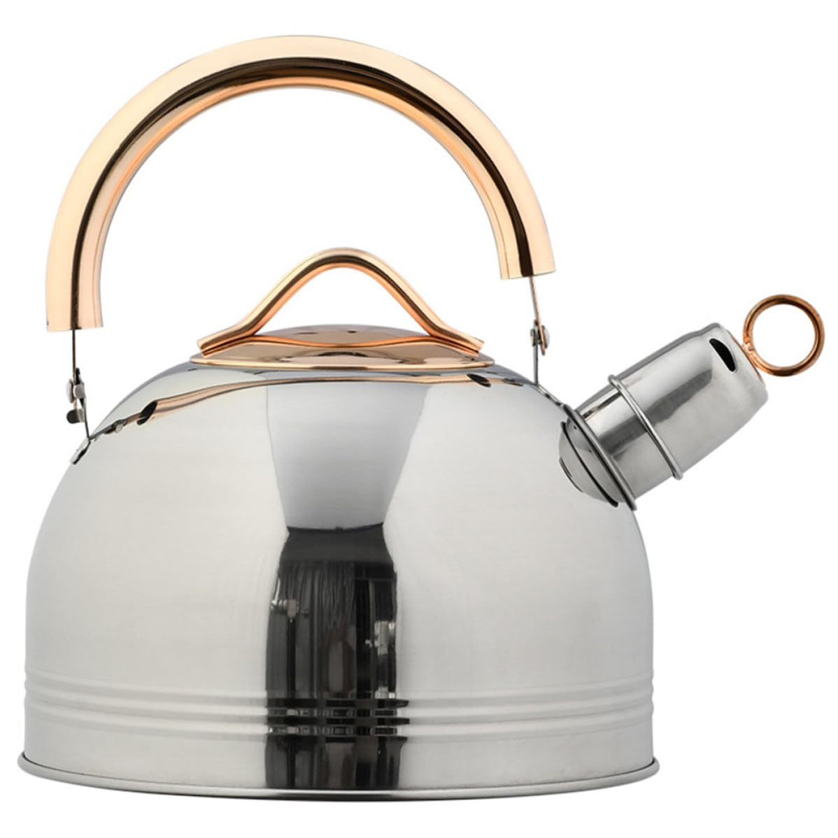 BESTOYARD Tetera Silbante para Hervir Agua Capacidad Grande de Acero Inoxidable y Diseño Seguro y Utensilio de Cocina Duradero en Cocina Práctica