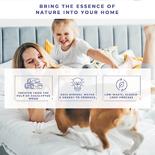 Kotton Culture 100% Tencel Bed Sheet Set - King Size Fitted Sheet, Flat Sheet And Pillowcase Set - Cooling, Breathable, Soft 4-Piece Bedding - White #TOP5