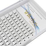 Premade Fans Eyelash Extensions 6D 0.07 C/D Curl...
