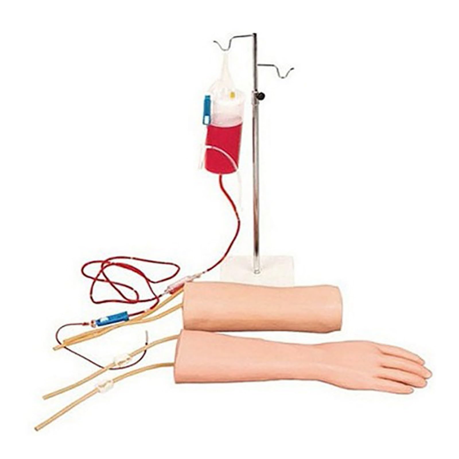 Modello di Addestramento per Fleboclisi Mano-Gomito, Kit Anatomia Umana con Valigetta Trasformabile in Banco, Regali Studente Medicina, Modello Anatomico Corpo Umano