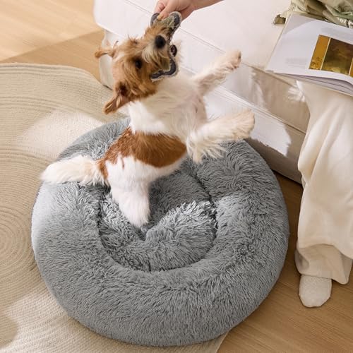 BEDSURE Hundebett waschbar Flauschiges Katzenbett - Ø 70 cm Katzenschlafplatz für Katzen und Hunde, plüsch Katzenkissen rund Kuschelbett, Hellgrau