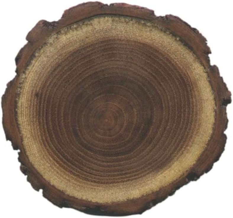 Miniatura 4 de 30 semillas de langosta negra para plantar - Robinia pseudoacacia