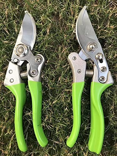 Image of Garden Shears, Japanese Pruning Shears for Heavy Duty, Flowers Herbs Grapes Plant and Branch Cutters, Clippers, Trimmers, Scissors (Green)