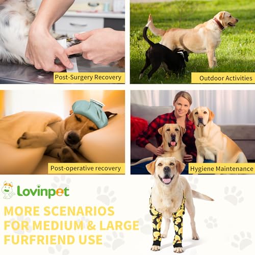 Image of LovinPet Dog Elbow Protector Anti-Licking Elbow Sleeve, Adjustable, Comfortable & Durable Front Leg Guard for Medium to Large Dogs, Prevents Licking and Chewing,Dog Sleeve,Dog Leg Sleeve