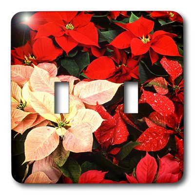 Poinsettia interruptor de doble palanca modelo 3dRose lsp_3310_2 3