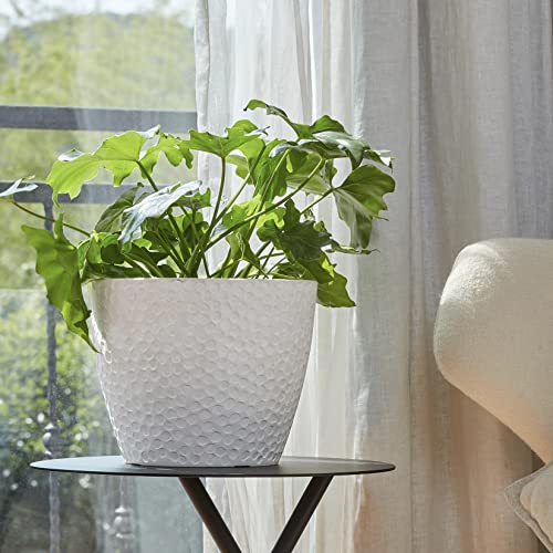 Lajoliemuseoutdoorplantersindoorflowerpots94inchplanterpotcontainerswhiteplantpotshoneycomb Urban Country Home Decor La jolie muse outdoor planters indoor flower pots 94 inch planter pot containers white plant potshoneycomb urban country home decor