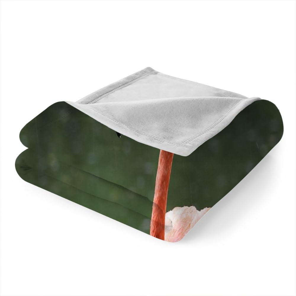 Couverture Polaire Flanelle Flamingo 150X200 Couverture Polaire Epaisse Hiver Chaude,Couverture Lit Jete De Canape 1 Personnes,Grand Chaud Et Doux,E24