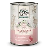 WILDES LAND