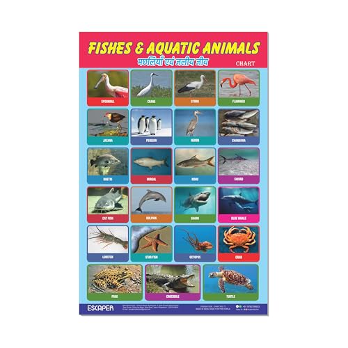 Image of ESCAPER Fishes & Aquatic Animals Educational Charts for Kids, (11.5 x 17.5 inches) Printed On 300 GSM Laminated, Self Adhesive Back, Kids Study Material, Learning Chart, Educational Posters
