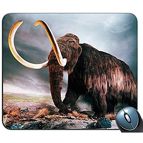 Preisvergleich Produktbild Wolliges Mammut-personalisierte Rechteck-Mausunterlage, rutschfeste Gummi-Bequeme kundengebundene Computer-Mausunterlage-Mausunterlage Mousepad